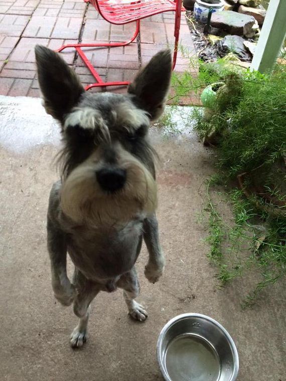 oh-sht-30-photos