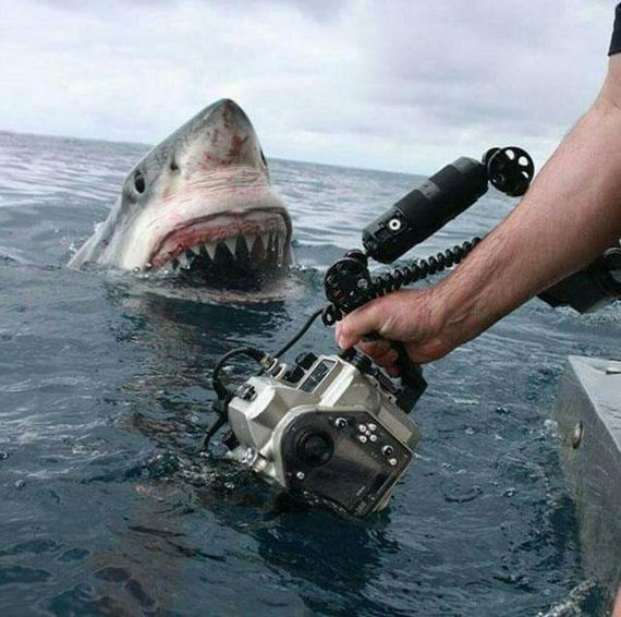 oh-sht-30-photos