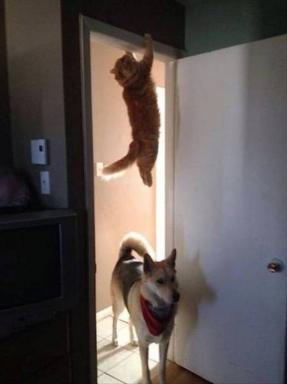 one_second_before