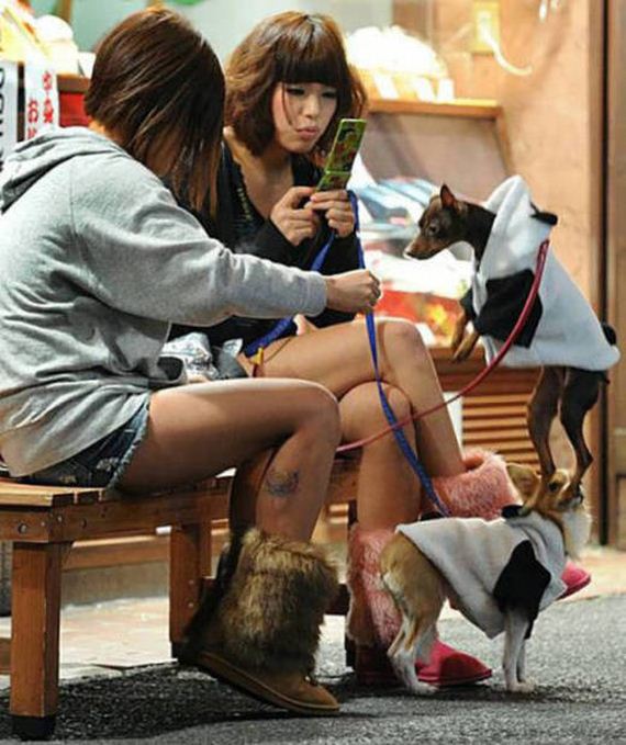 only_see_in_asia