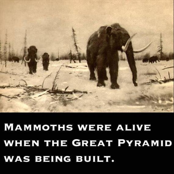 outlandish_facts