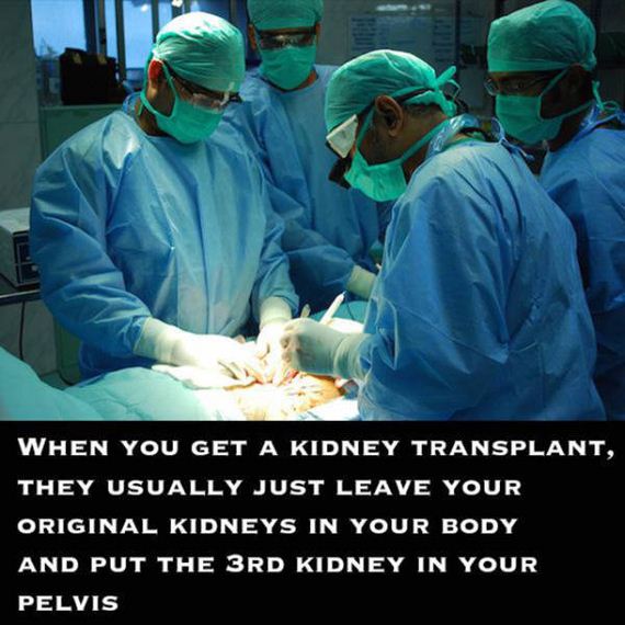 outlandish_facts