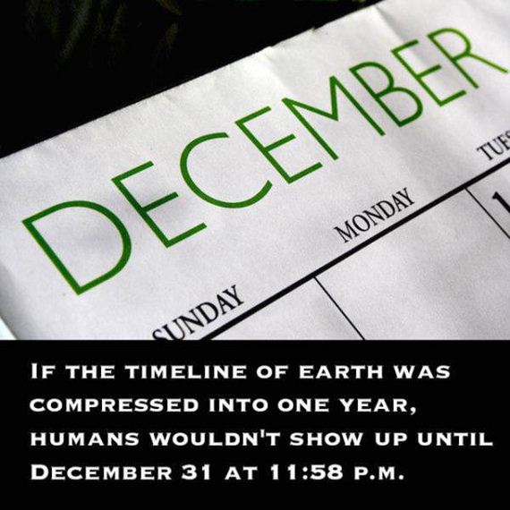 outlandish_facts