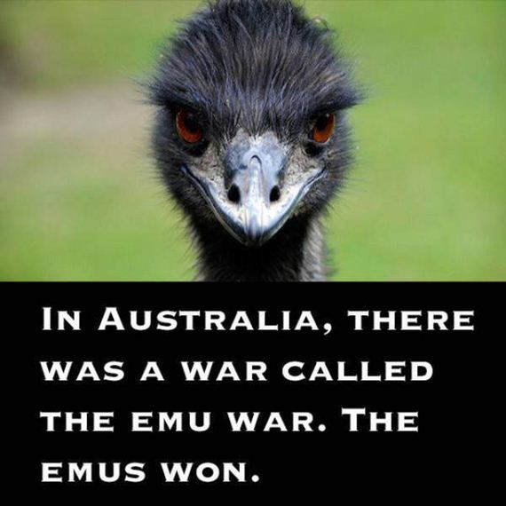outlandish_facts