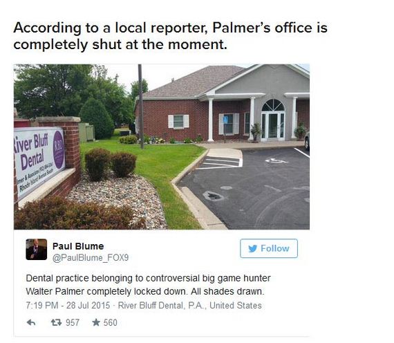 people_are_flooding_this_dentist