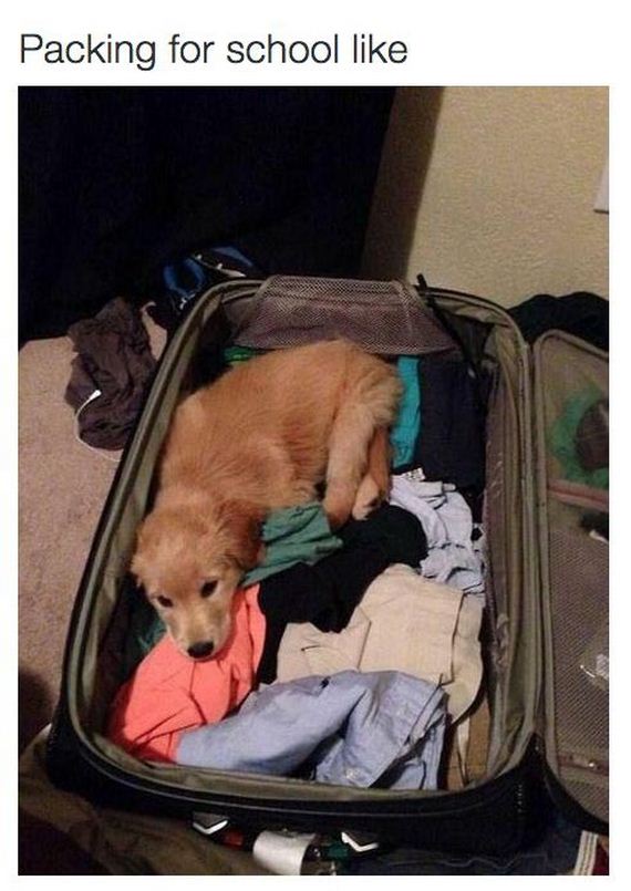 people_going_back_to_college