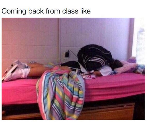 people_going_back_to_college