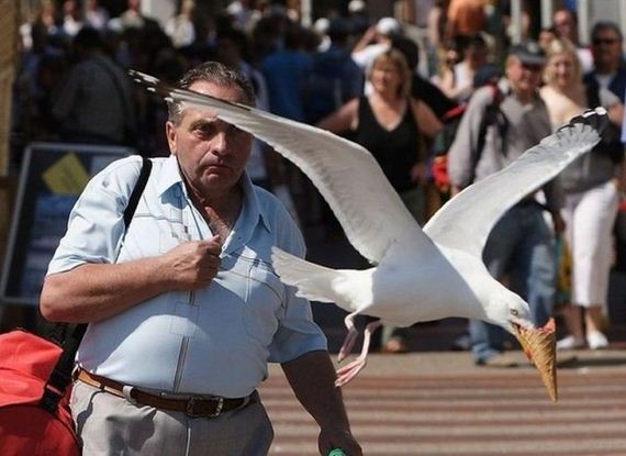 perfectly_timed_photos-1