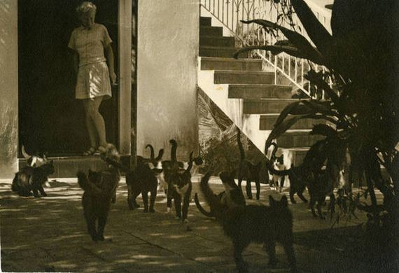 photos_from_history