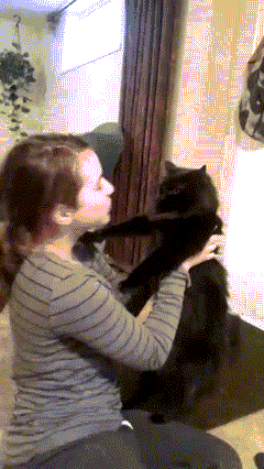 picdump