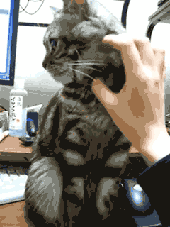 picdump