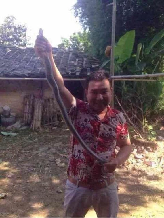 poisonous_snake