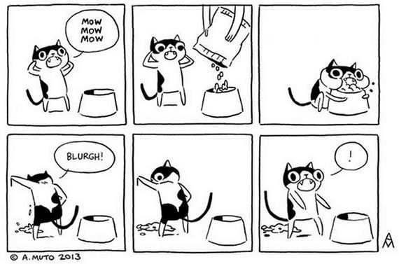 reality_of_owning_cat