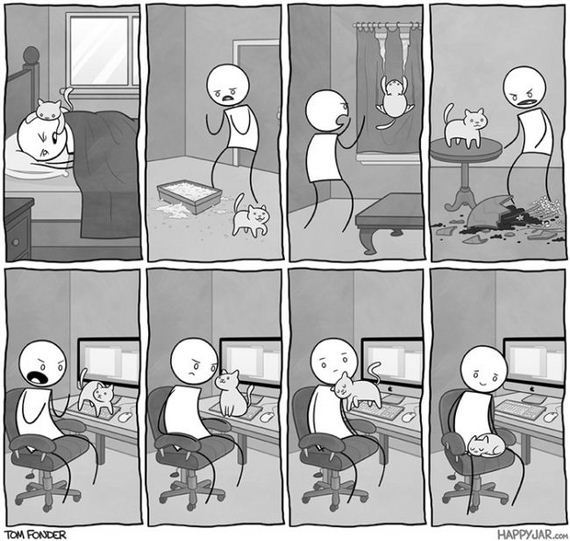 reality_of_owning_cat