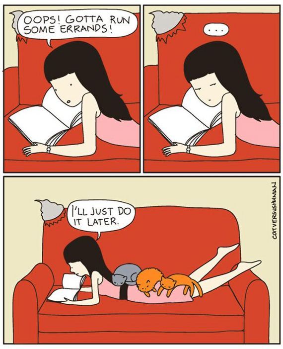 reality_of_owning_cat