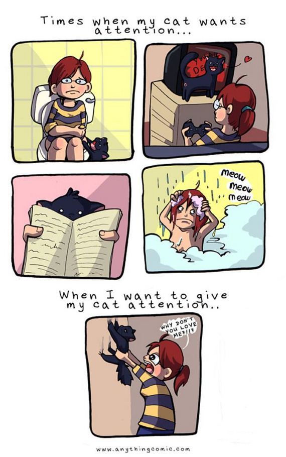 reality_of_owning_cat