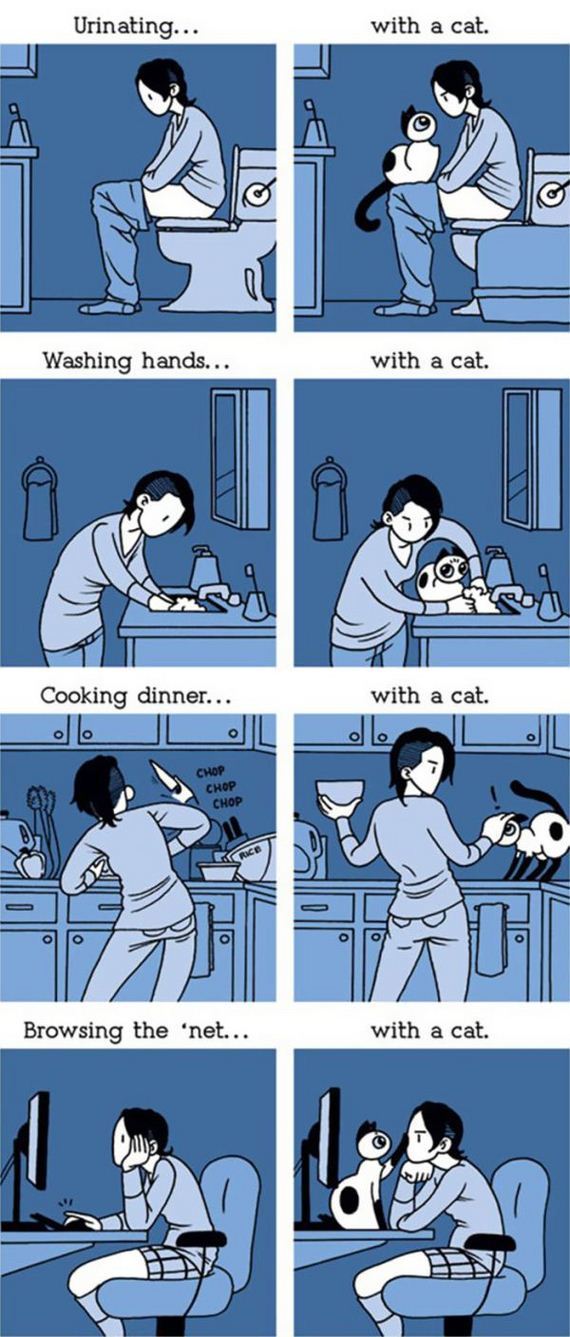 reality_of_owning_cat
