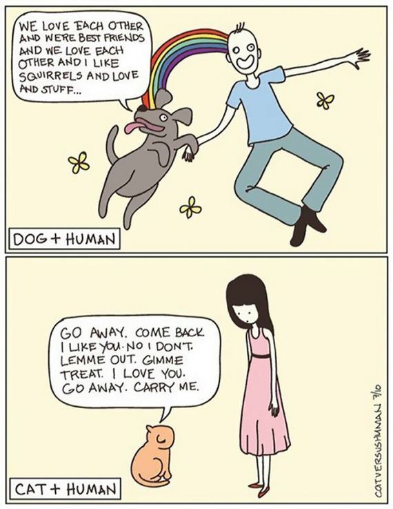 reality_of_owning_cat