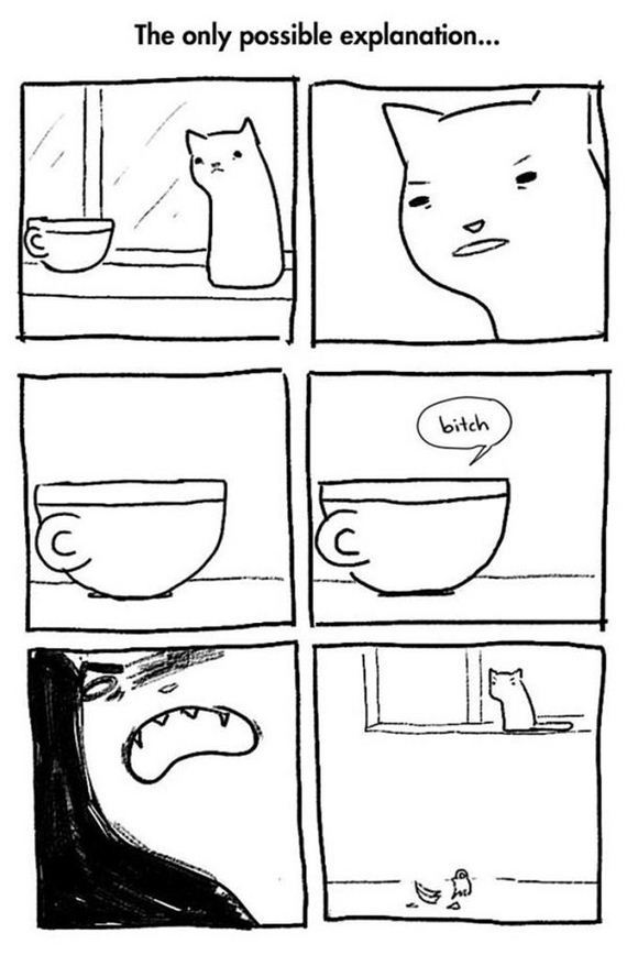 reality_of_owning_cat