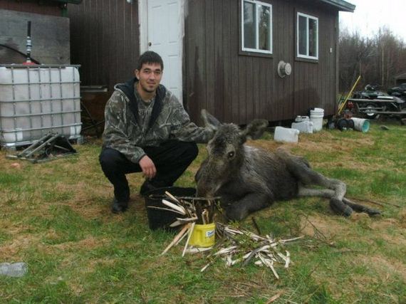 saved_moose