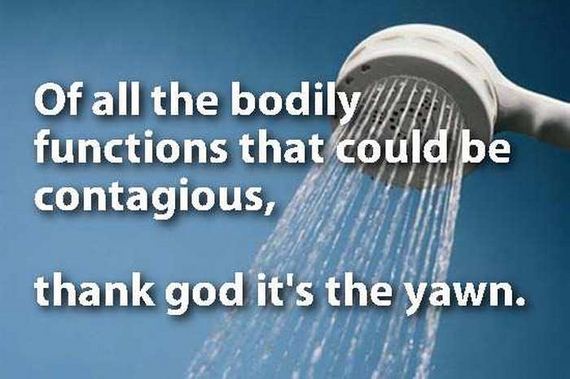 shower_shoughts