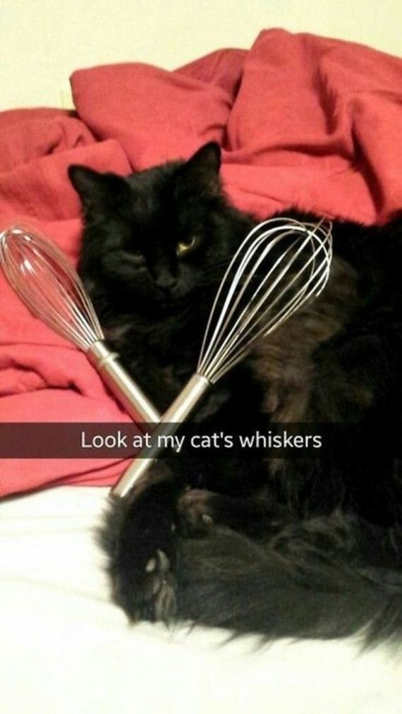 snapchat_puns