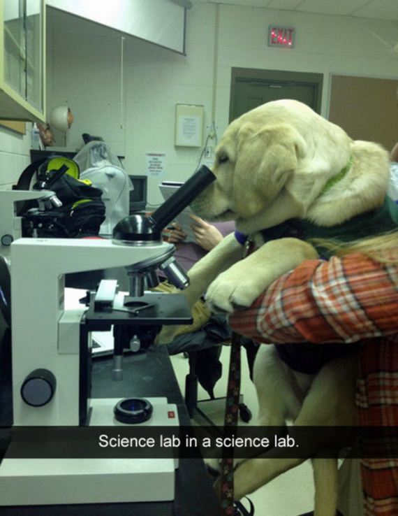 snapchat_puns
