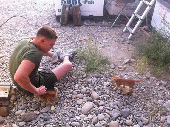 soldiers_and_cats