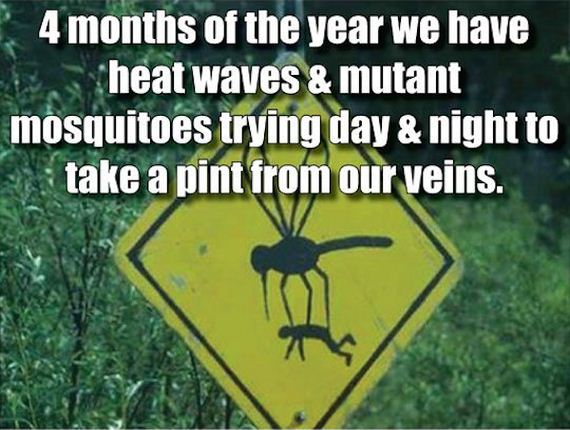 summer-in-canada-is-the-best