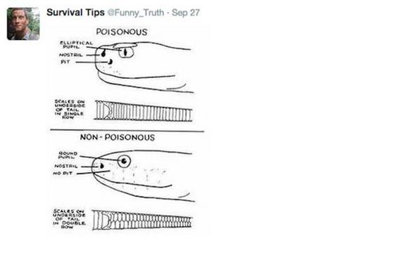 survival_tips