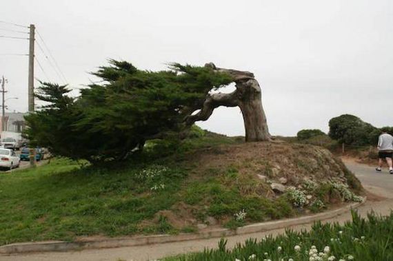 the-wind-can-be-kind-of-a-dck