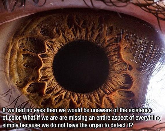 these-epiphanies-really