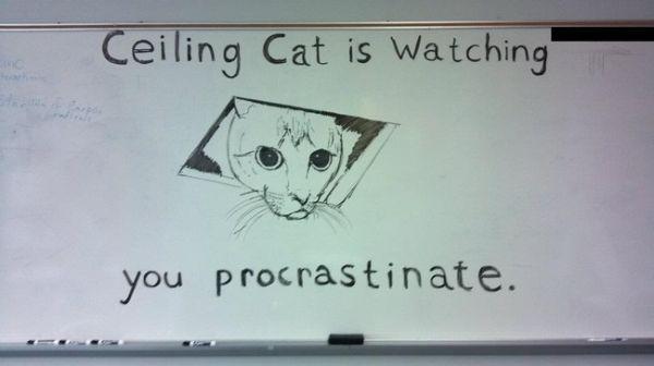 this-whiteboard-art-should