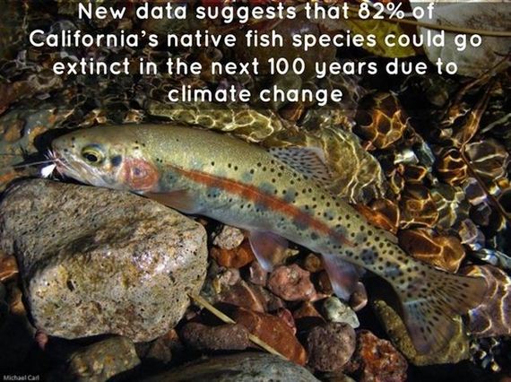 true_facts_that