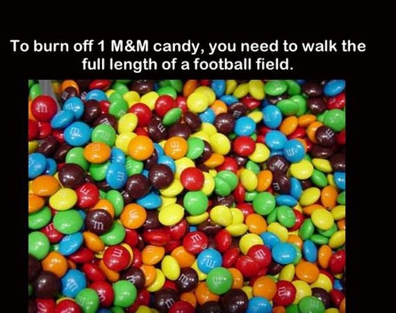 true_facts_that