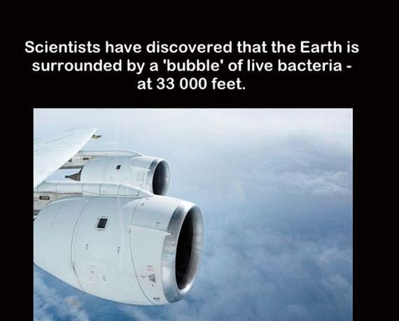 true_facts_that