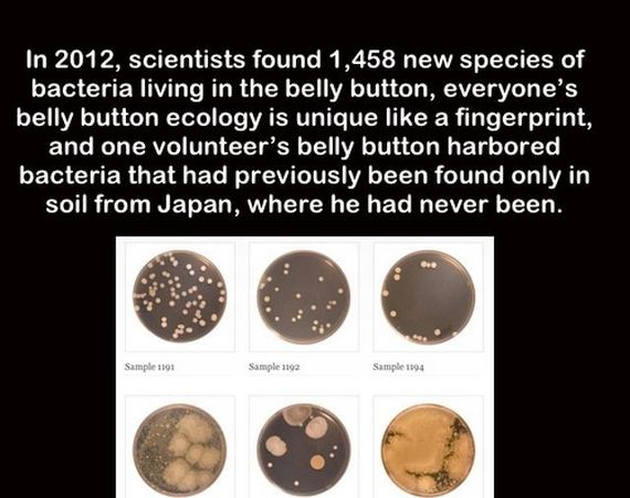 true_facts_that