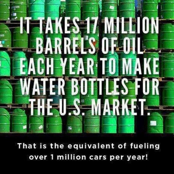 true_facts_that
