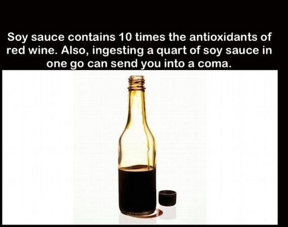 true_facts_that