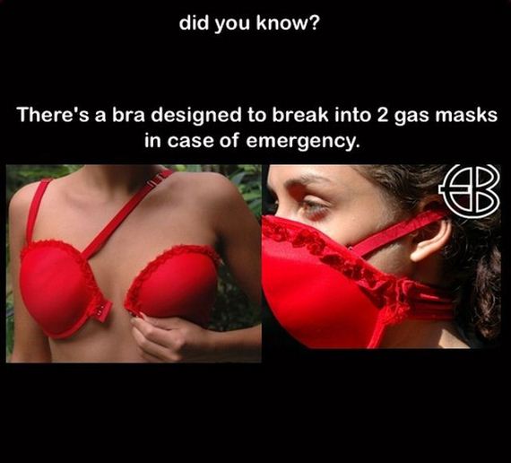 true_facts_that