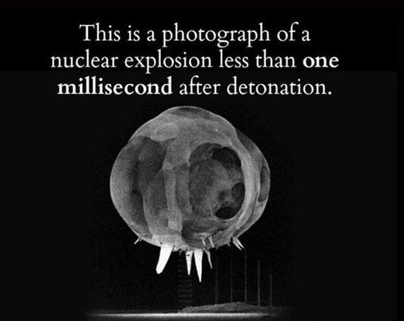 true_facts_that