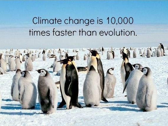 true_facts_that