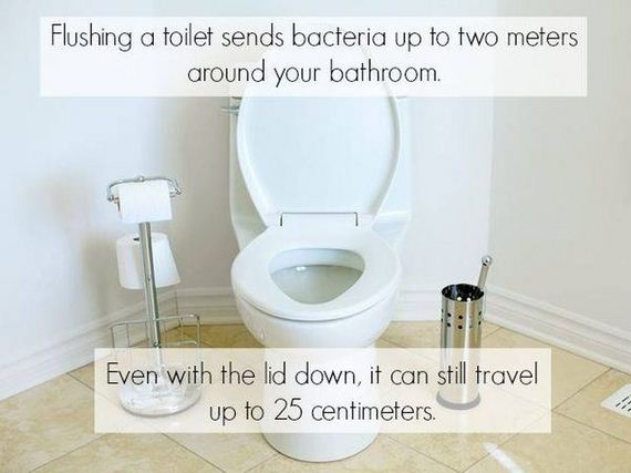 true_facts_that