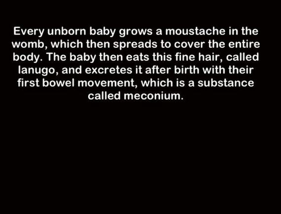 true_facts_that