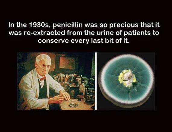 true_facts_that