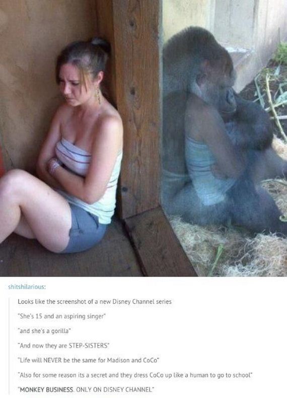 tumblr_comments