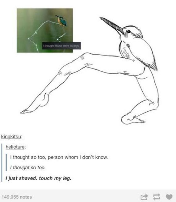 tumblr_comments
