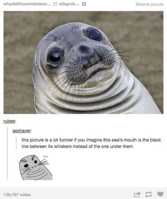tumblr_comments