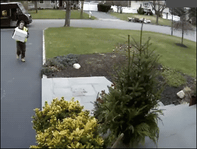 ups-fedex