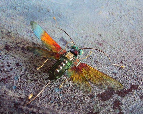 winged-insects-made